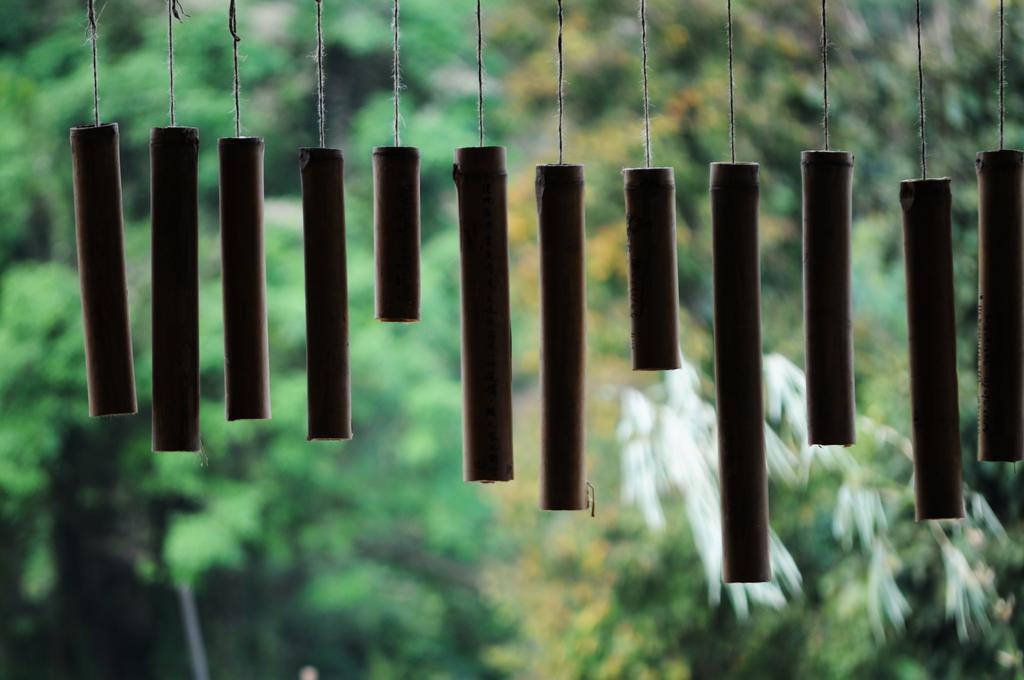 Zen Home Resort & Garden @ Phayao Buitenkant foto